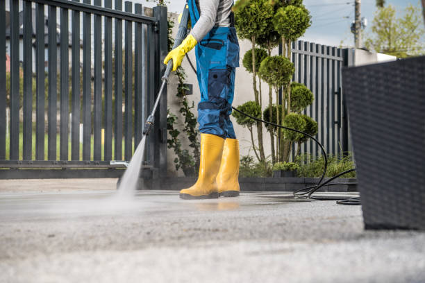 Best Pressure Washing Driveway  in Lexington Park, MD