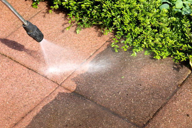 Professional Pressure Washing in Lexington Park, MD
