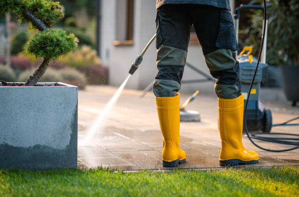 Best Roof Power Washing Services  in Lexington Park, MD